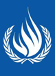 ohchr-80