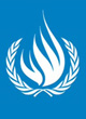 UN-Human-rights-80t