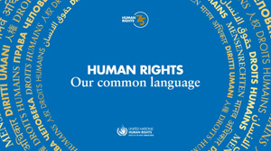 Human-rights-300